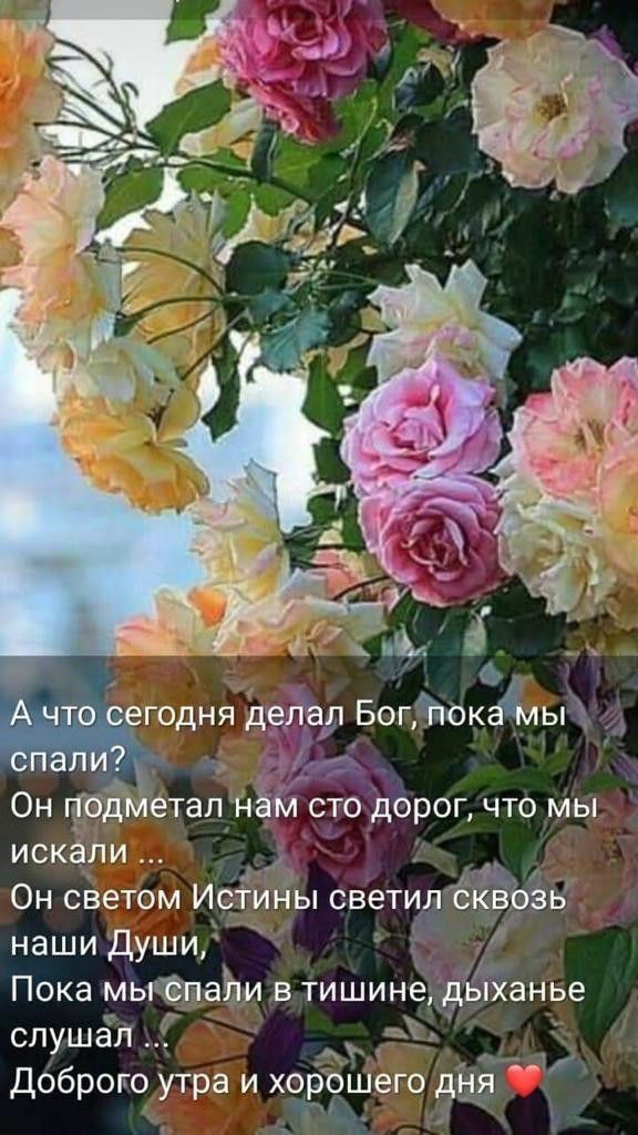 Диля Ходжаева tweet media
