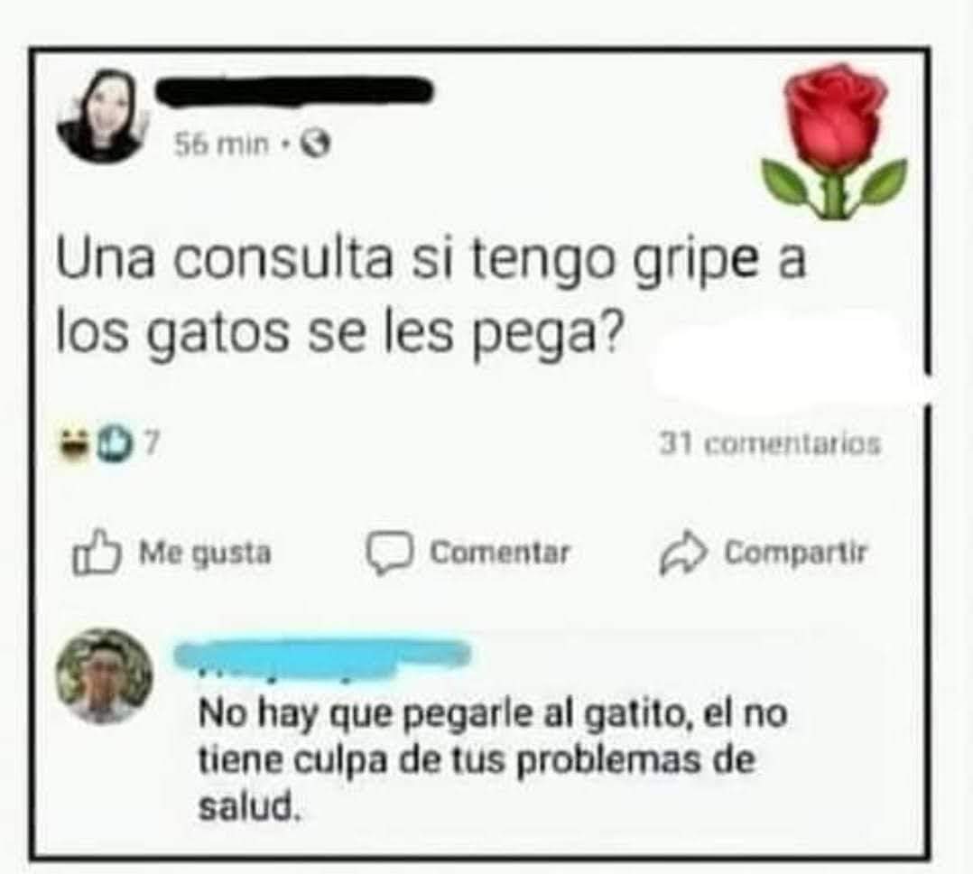 Ana_LaPatata tweet media