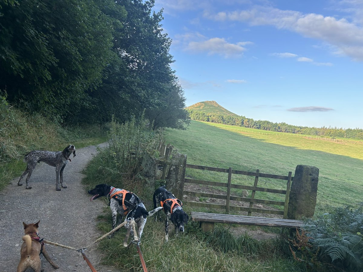 Lucy Clough tweet media