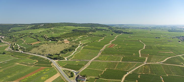 Côte-d'Or. Découvrir la Route des Grands Crus en deux temps trois mouvements, c'est possible c.bienpublic.com/a-propos/2024/… la suite dans votre <a href="/Lebienpublic/">Le Bien Public</a> #Bourgogne <a href="/BFC_Tourisme/">En Bourgogne Franche-Comté</a>