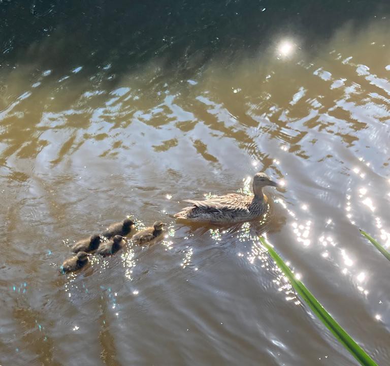 Yvette10090's tweet photo. Idyllic scene from last summer 🏝️  🌞 ☁️.                  #StormHour @StormHour #ThePhotoHour   #stormhourthemes #YvettePix #Summer  #💙 https://t.co/oErpKZylMu