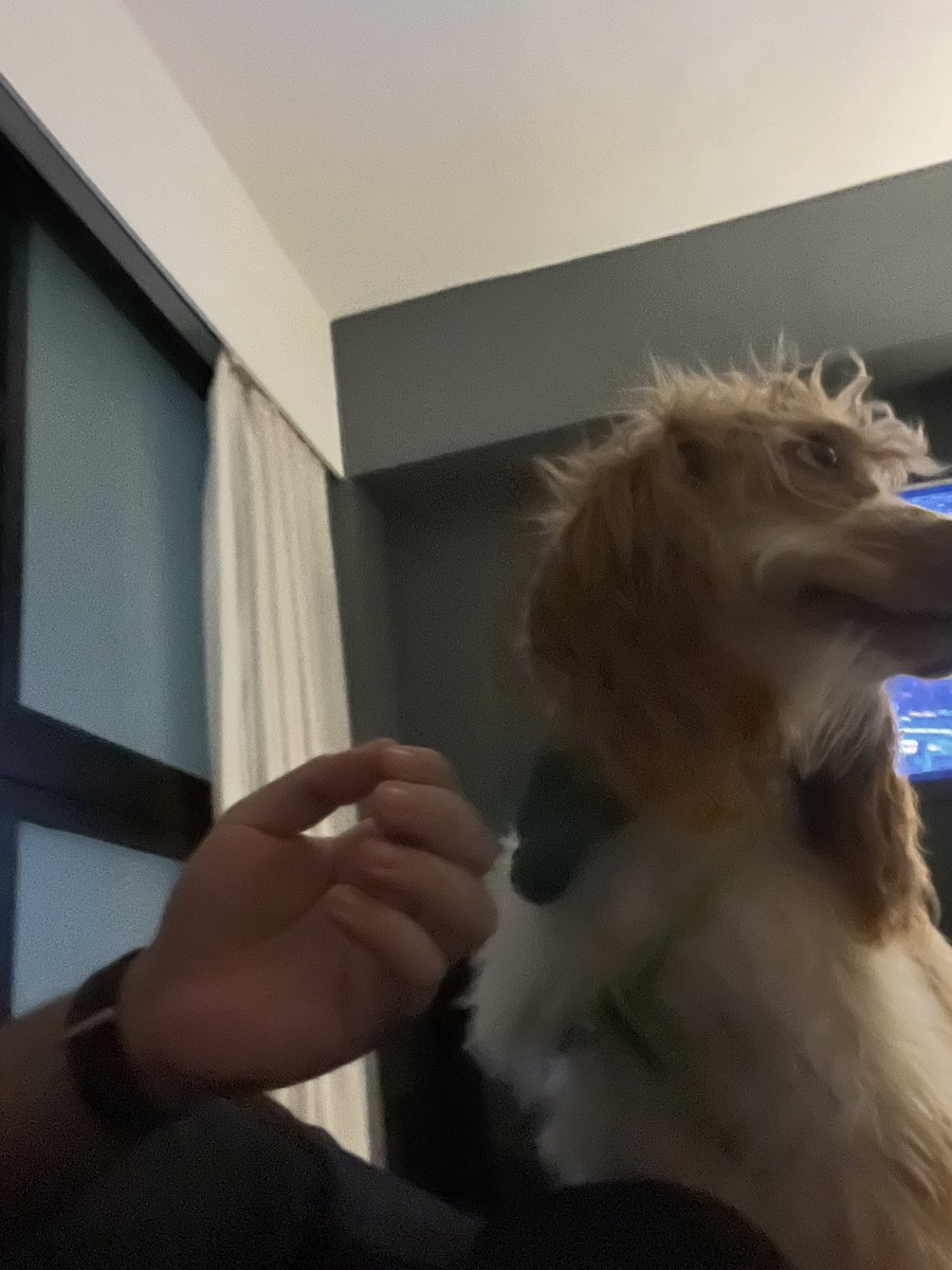 mundito (@el2ctor) on Twitter photo 