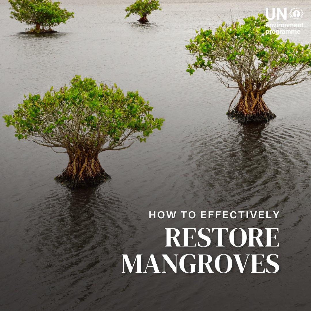 UN Environment Programme tweet media