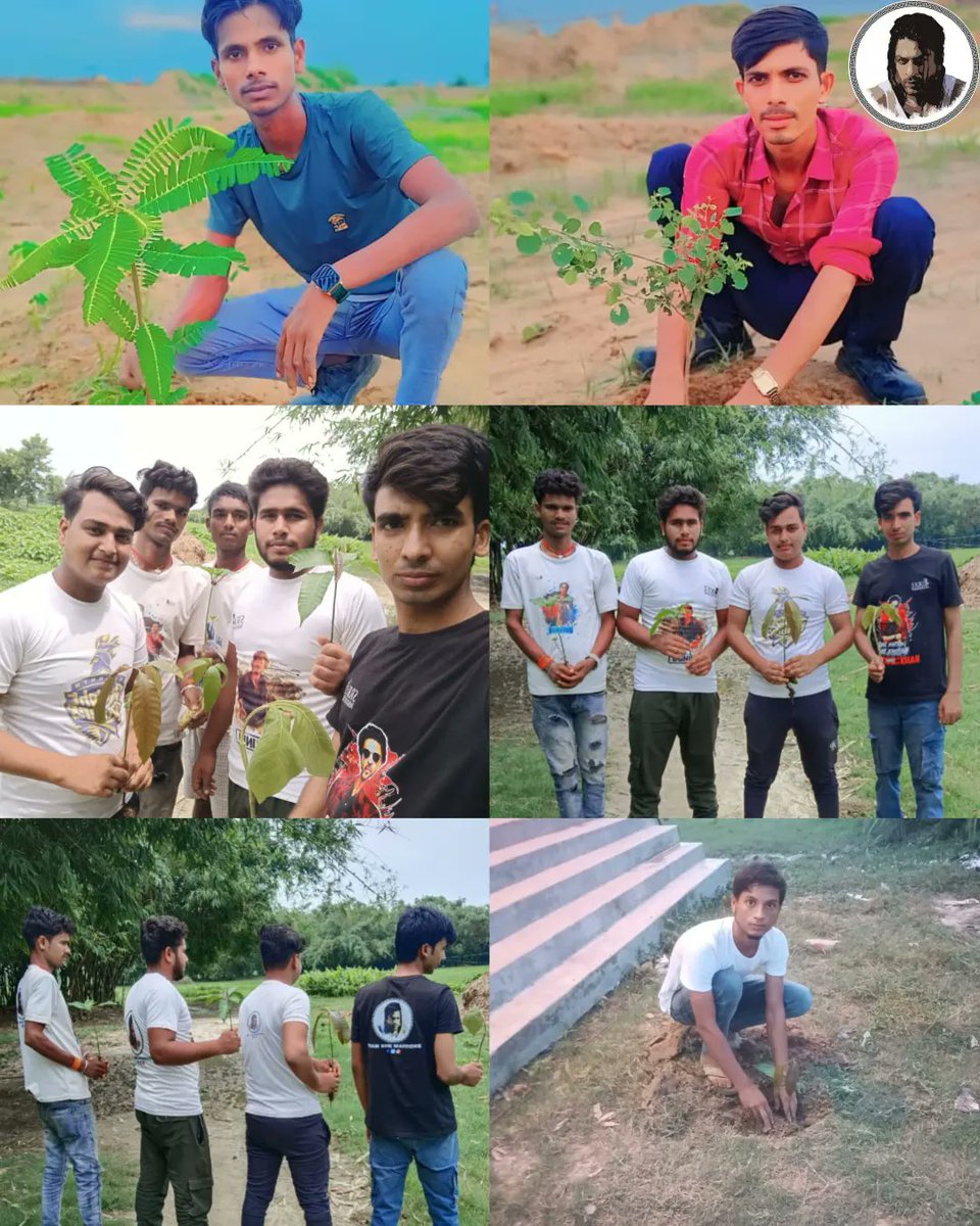 SHAFI (FAN) (@srkian_shafi) on Twitter photo On the Occasion of Independence Day Team SRK Warriors Champaran Planted Green Trees
<a href="/TeamSRKWarriors/">Shah Rukh Khan Warriors FAN Club</a> <a href="/JoySRKian_2/">Javed (Fan)</a> On the Occasion of Independence Day Team SRK Warriors Champaran Planted Green Trees
<a href="/TeamSRKWarriors/">Shah Rukh Khan Warriors FAN Club</a> <a href="/JoySRKian_2/">Javed (Fan)</a>