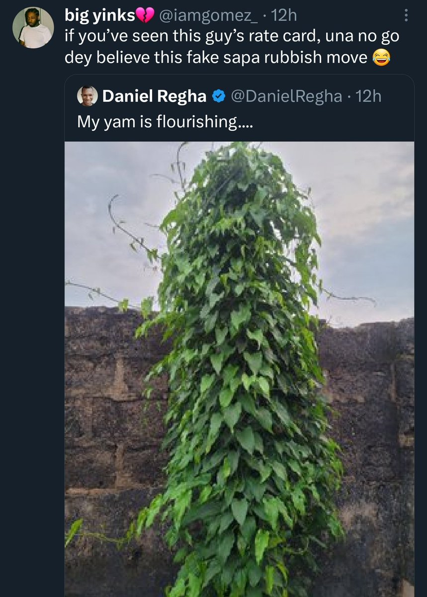 instablog9ja's tweet photo. 👀 https://t.co/wJZrbR6Yfv