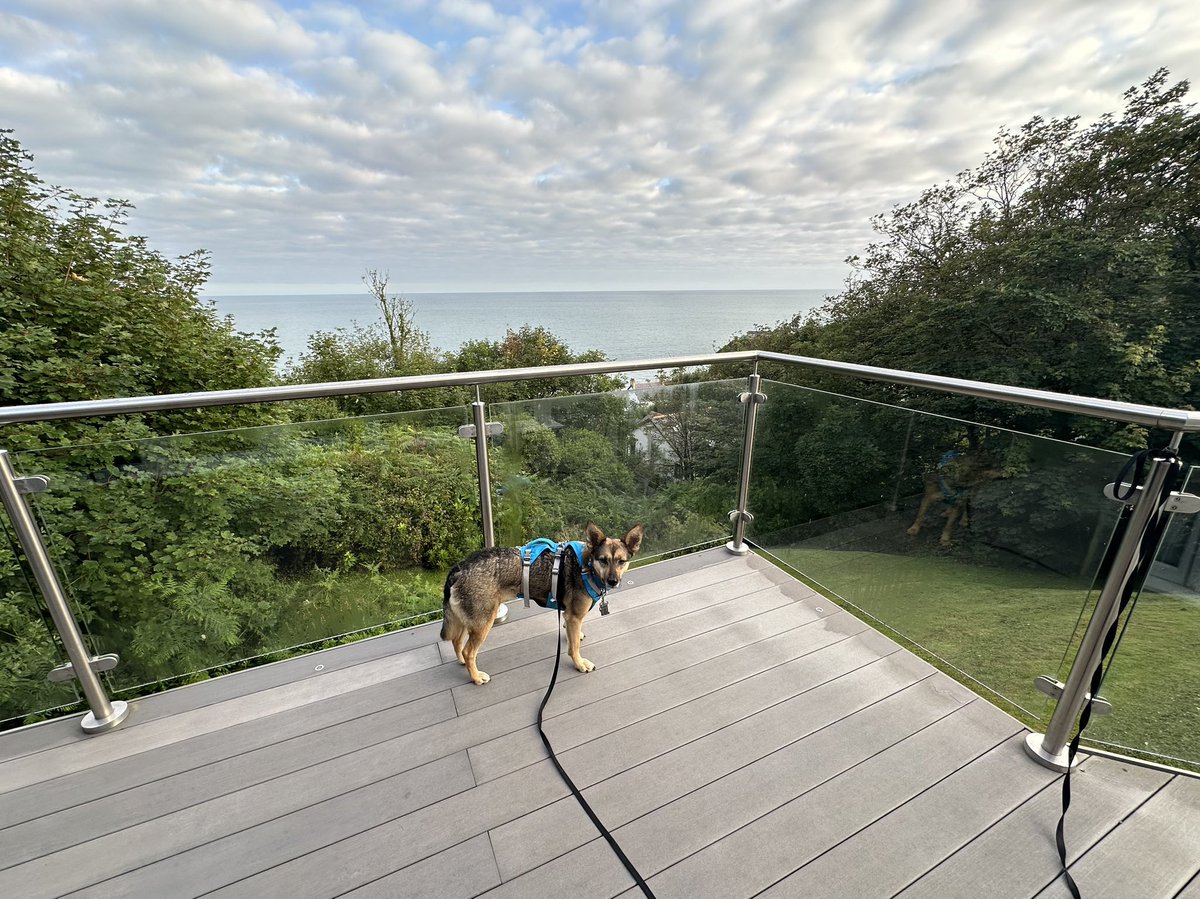 Rory Cellan-Jones tweet media