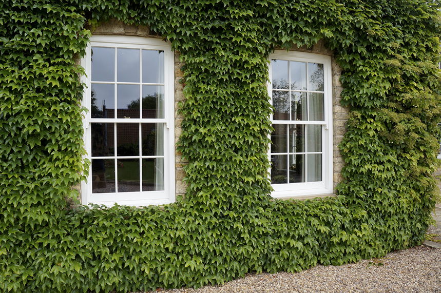 MumfordWood's tweet image. Giving a new meaning to 'being green.' It's lovely to see our timber windows pop against the façade of this home... 

#greenhome #timberwindows #sashwindows