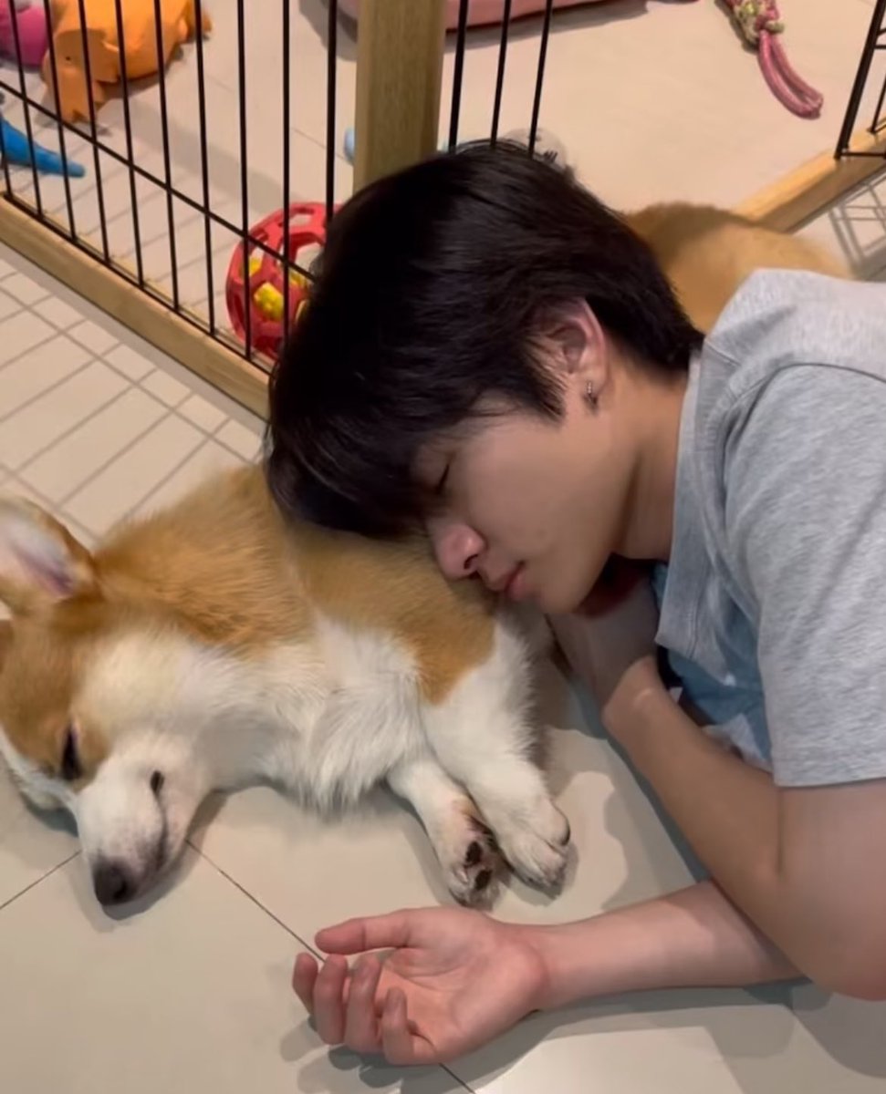 lulooyayaa's tweet photo. แล้วหน้าเหมือนกันเด๊ะ 🥺 https://t.co/0WUkLjK0Y0