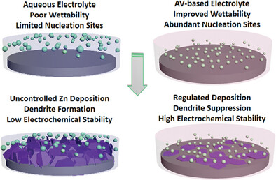reyuksel's tweet photo. Our recent work, "Aloe Vera-Based Green and Sustainable Electrolyte for Zinc Ion Batteries," is now available online. 
#energystorage #sustainability #Batteries #Nanotechnology

https://t.co/H2FIa9SxNM https://t.co/5HOByJ5qaF