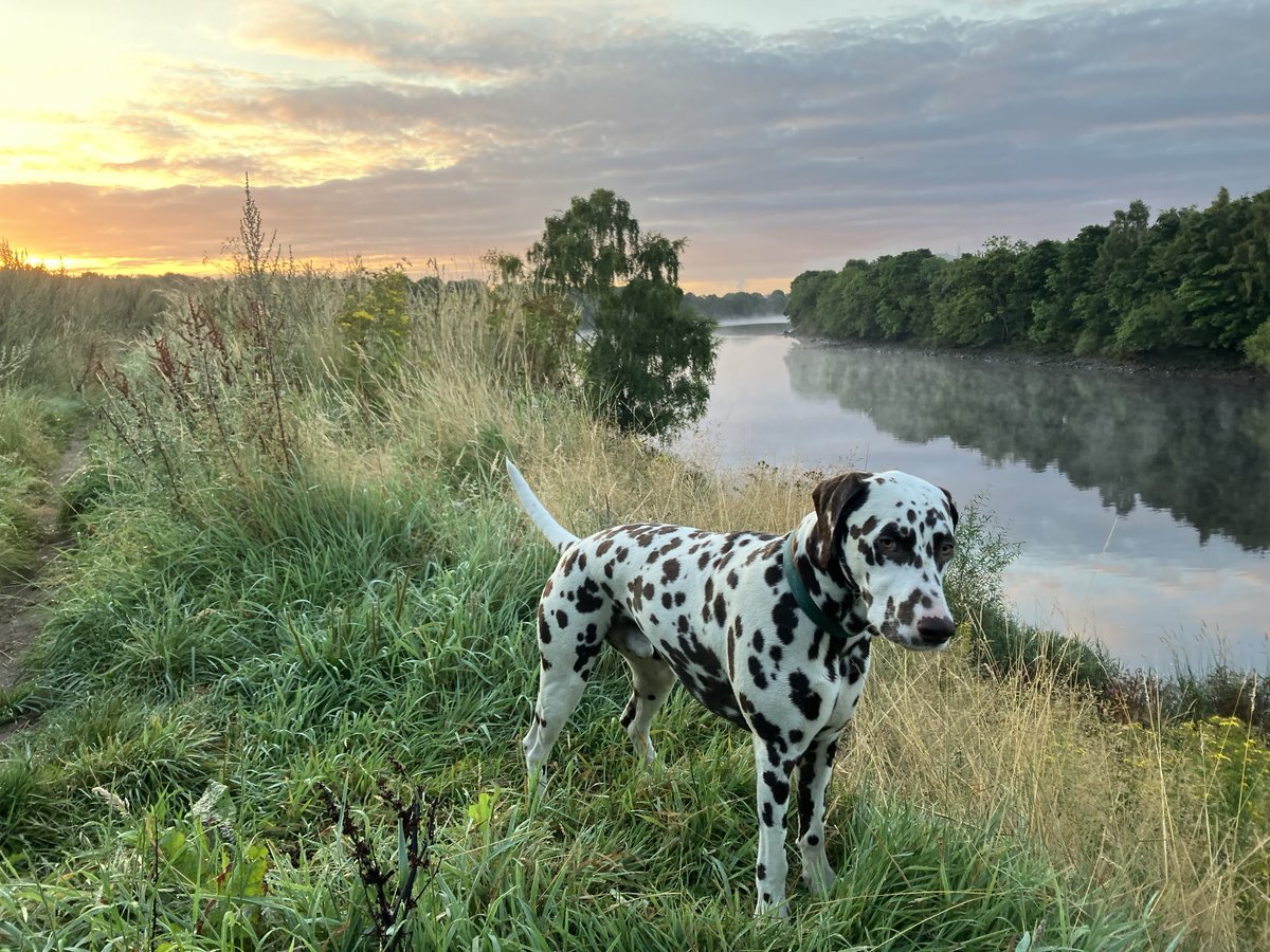 Rhys and the sunrise this morning