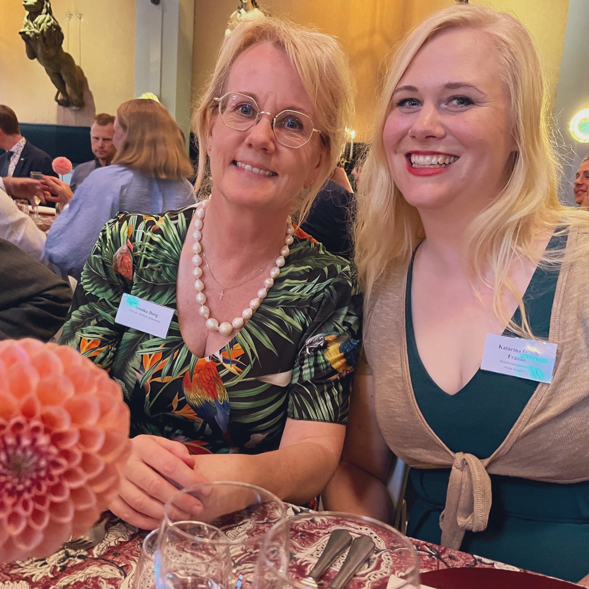 Katarina O'Nils Franke tweet media