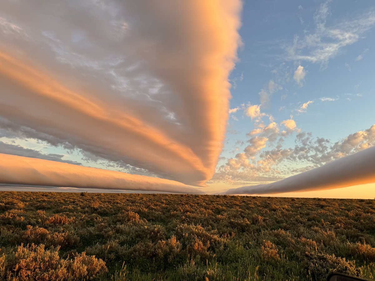 sandra ireson tweet media