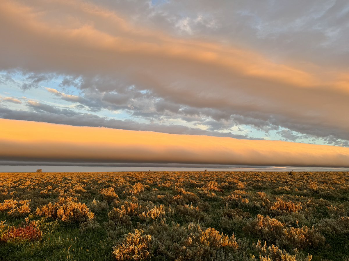 sandra ireson tweet media