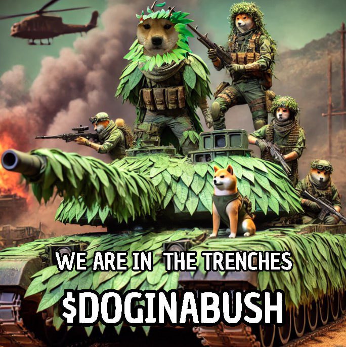 Dog Ina Bush is locked, loaded, and ready for battle against the weak hands! 🌿 Hold tight or risk getting lost in the bush! #HODL #DogInaBush #ToTheMoon #solanasummercamp #Solana #SolanaAirdrop #SolanaCommunity #SolanaGiveaway <a href="/mrpunkdoteth/">Mrpunk.eth</a>  DEX IS PAID