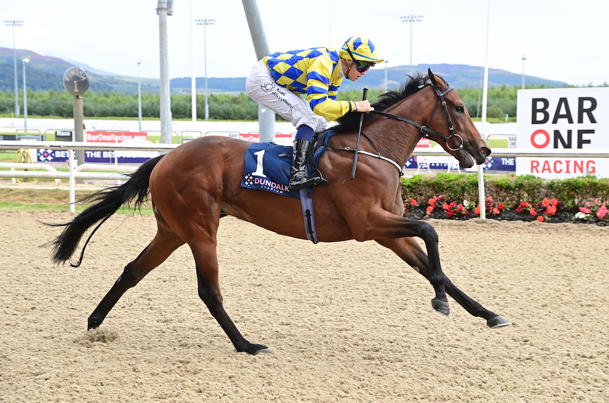 Tattersalls Ireland (@tattersalls_ie) on Twitter photo September Yearling Sale graduate Ms Willpower made an impressive debut <a href="/DundalkStadium/">Dundalk Stadium</a> winning by almost 4 lengths.
The 2yo daughter of Inns Of Court was purchased for €32,000 and looks an exciting prospect for the future.
🗓 24 & 25 Sept | Part II 26 Sept
📖 View Catalogue | September Yearling Sale graduate Ms Willpower made an impressive debut <a href="/DundalkStadium/">Dundalk Stadium</a> winning by almost 4 lengths.
The 2yo daughter of Inns Of Court was purchased for €32,000 and looks an exciting prospect for the future.
🗓 24 & 25 Sept | Part II 26 Sept
📖 View Catalogue |