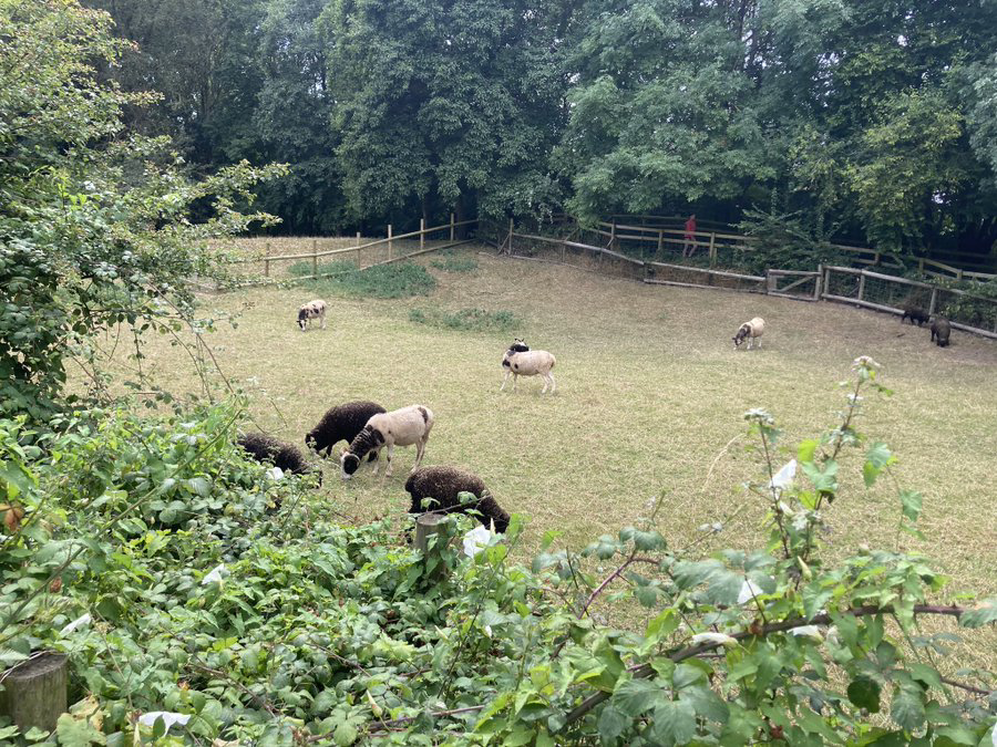 #Bristol has many lovely green spaces including Lawrence Weston Community Farm where the charity offers green community space, educational, social, environmental, economic and recreational activities where people and nature can flourish <a href="/lwcommunityfarm/">Lawrence Weston Community Farm</a> 👏❤️ 📷 <a href="/weird/">weird</a>