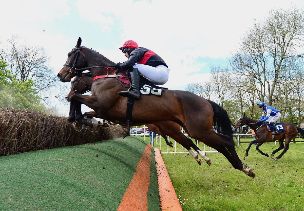 ✅️ NADIA'S BOY is in training with <a href="/WillieMullinsNH/">Willie Mullins</a> and he'll run in the colours of Mustafa Elatrash.

🤞 By Getaway and out of a King's Theatre mare, he asserted well to win on point debut at Ballysteen in April.

(📷: <a href="/coolmorestud/">Coolmore</a>)