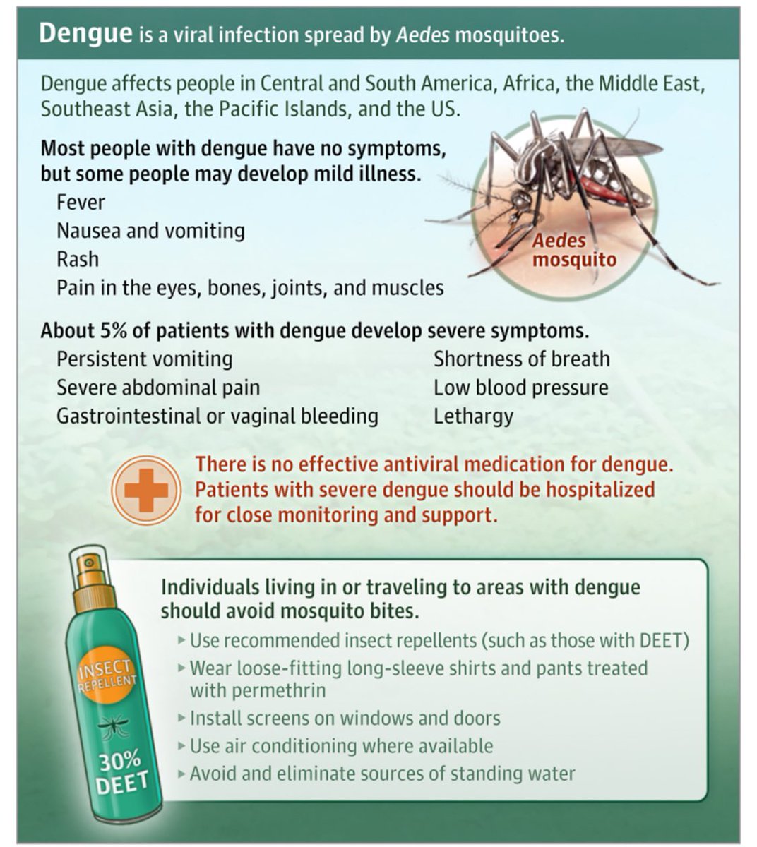 What Is Dengue?