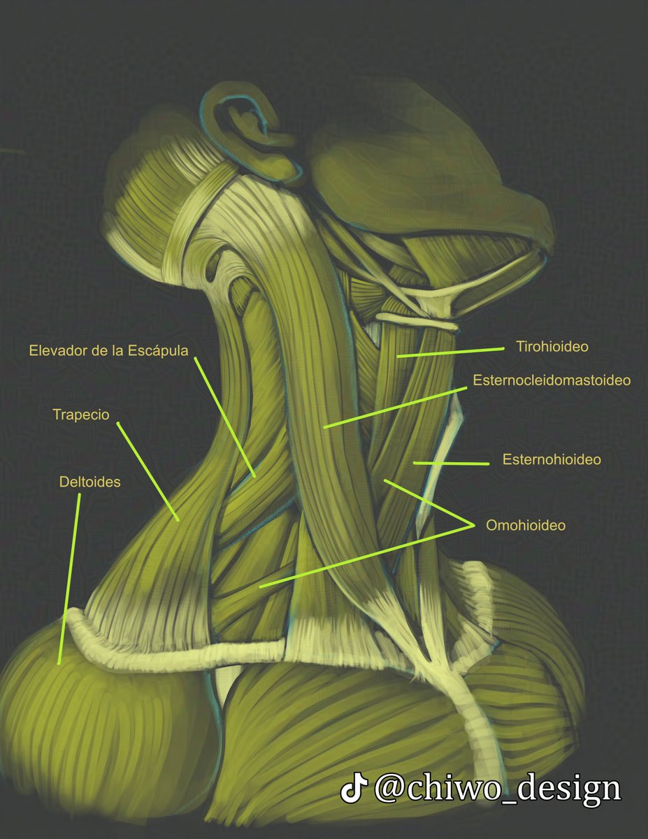 A. Chiwo tweet media
