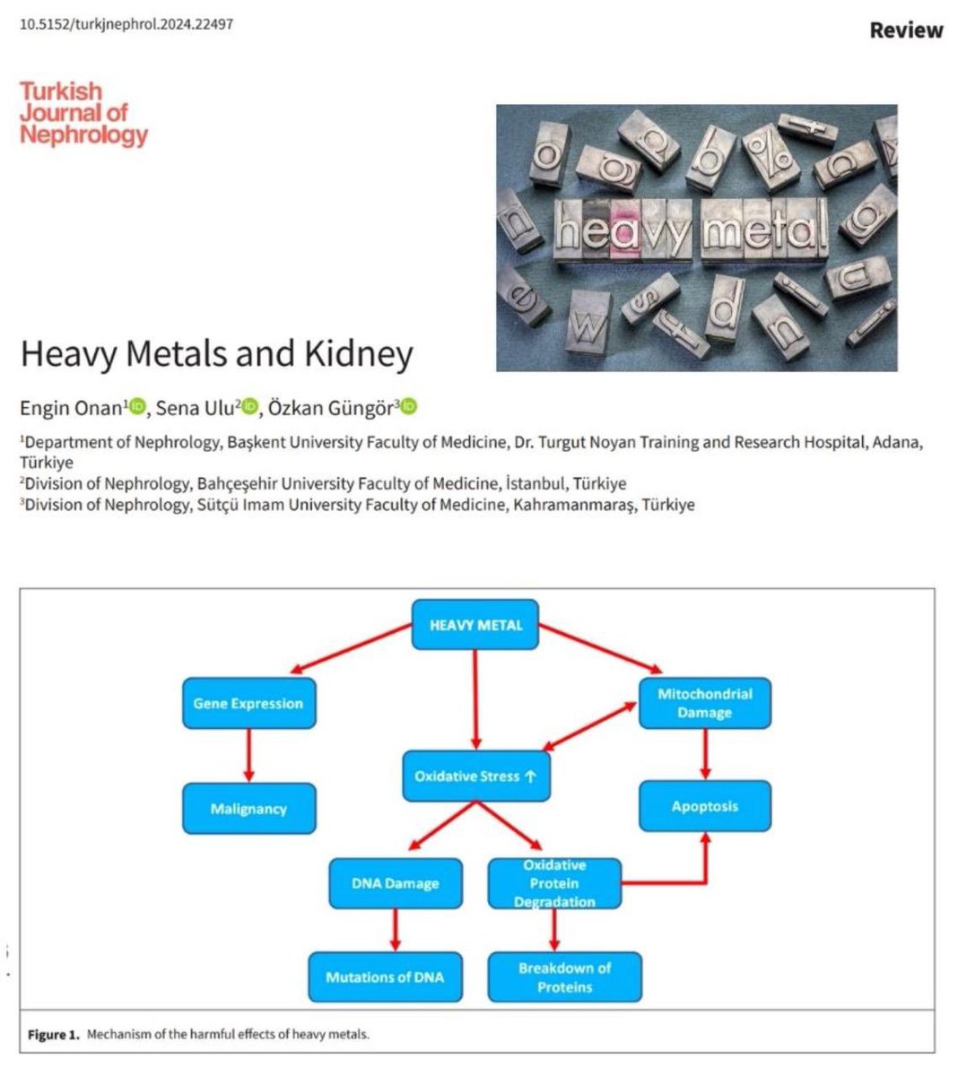 turkjnephrol's tweet photo. This review discusses the basic properties of lead, mercury, cadmium, and arsenic, their nephrotoxicity mechanisms, and studies about them. https://t.co/FQnVOyYsx1
