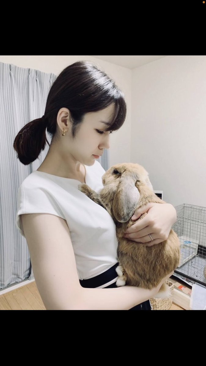 yaeponpon's tweet photo. 御三家です。
左からまる、うさこ、とら
とらだけちいちゃいね。
一番ミニサイズだったもんね。
うさこは内臓が悪かったらしいんだって(葬儀屋さん談)
後わたしと人生を共にしているのがまぐ。
もぐとぽんたは元旦那のところ。
みんな健やかでいて。 https://t.co/O5ns7HSQKT