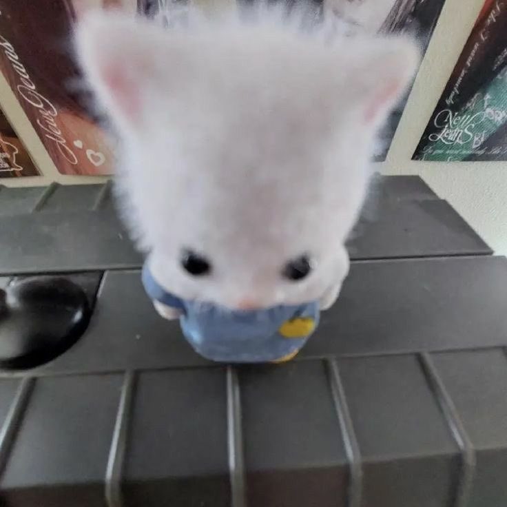 1🤍+🤍1 tweet media