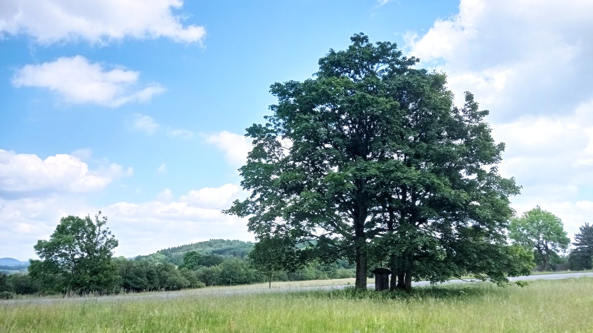 Pavel Šuchmann tweet media