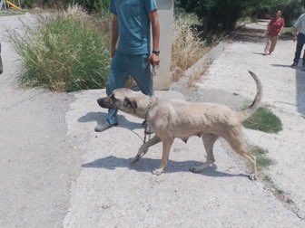 Arsuz günlerdir vicdansızca toplama yapıyor!

Söz vermediniz mi? <a href="/eczozgurozel/">Özgür Özel</a>?

Söz vermediniz mi? <a href="/yavuzyilmazd/">Deniz Yavuzyılmaz</a> <a href="/GokceGokcen_/">Gökçe Gökçen</a> <a href="/alimahir/">Ali Mahir Başarır</a> <a href="/AyhanBarut01/">Ayhan Barut</a>

Belediyelerinizi uyarın! Tahammülümüz kalmadı artık! Sözünüzü tutacaksanız tutun!

#TürkiyedeKatlimVar