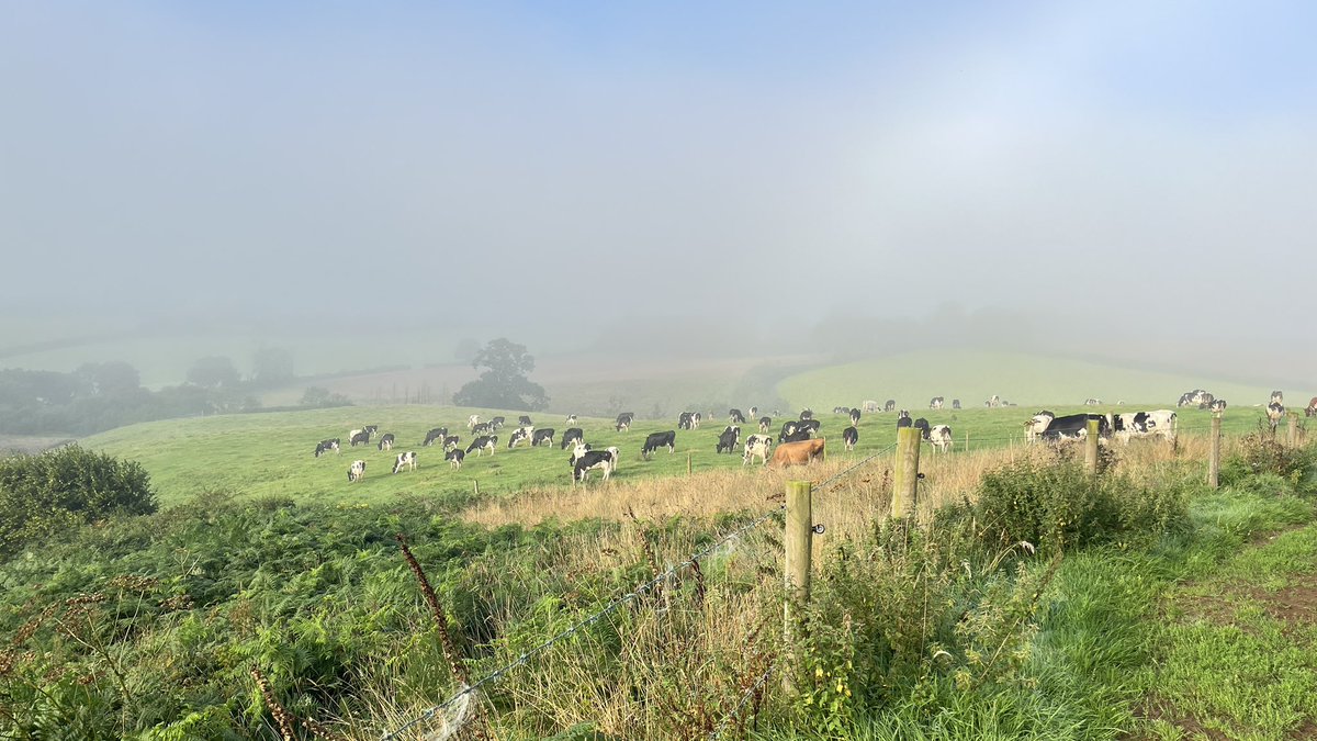 Trenance Dairy tweet media