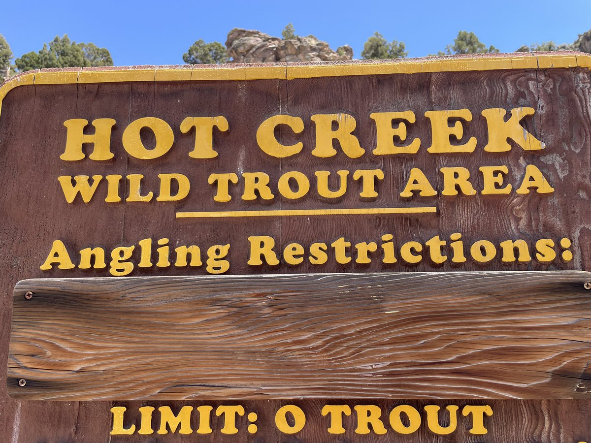 kairality's tweet photo. no trout for you https://t.co/lhzxa7ZTY3
