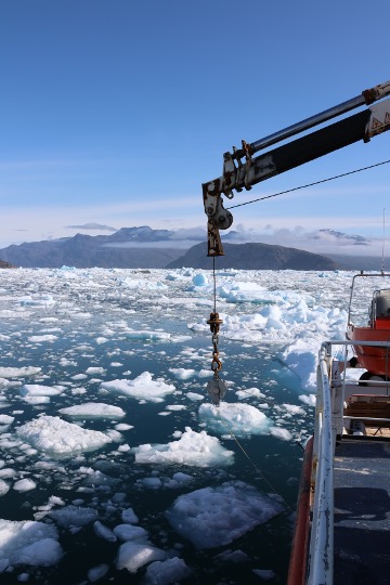 CARVICE_ocean tweet media