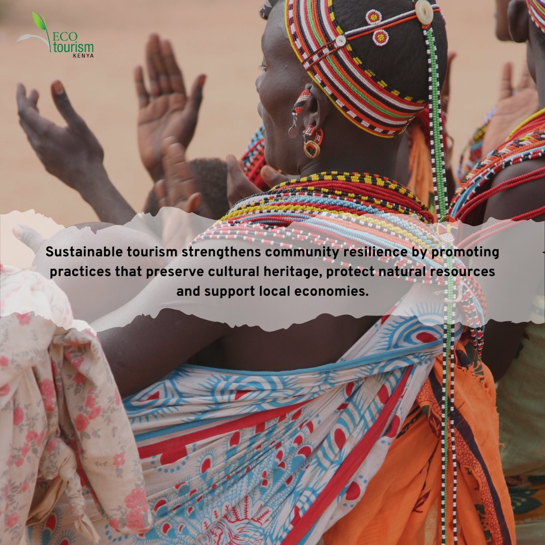 Ecotourism Kenya tweet media