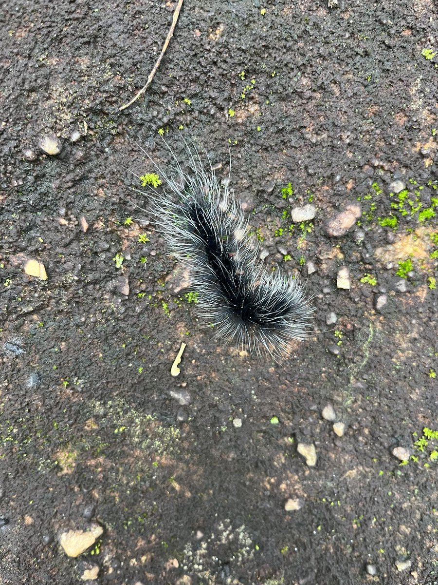 Joys of the season.

A little warmth, a little discomfort. Just the way life is, and should be appreciated.