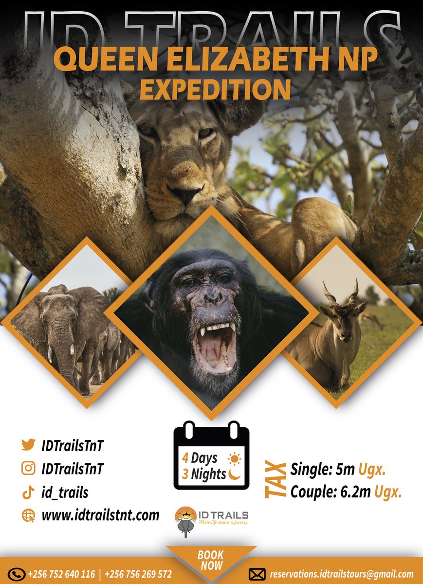 IDTrailsTnT's tweet photo. Travel with us @IDTrailsTnT 
🌐 https://t.co/hnbQAjvPt1 
Where life means a journey! https://t.co/NIrMagj4l2