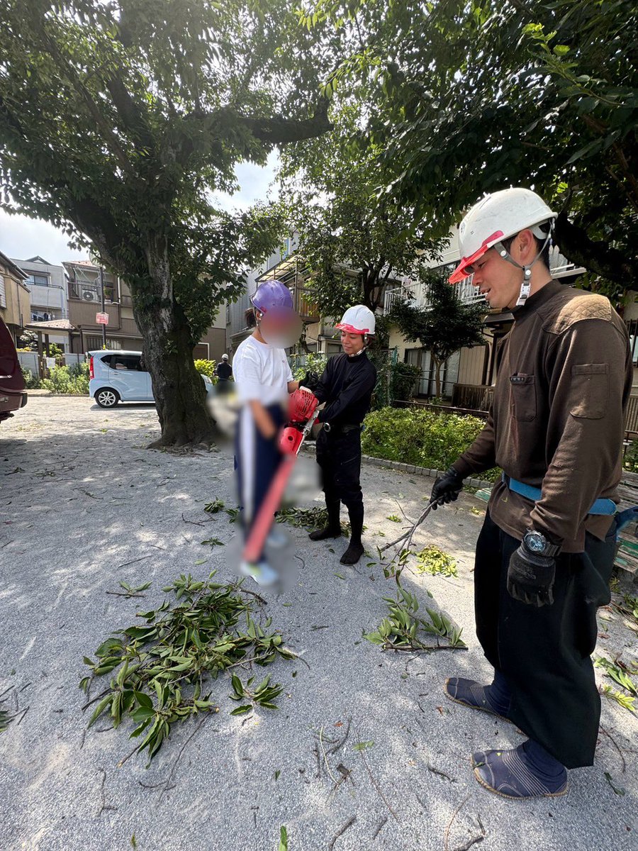 GreenForum8's tweet photo. 先日、中学生の子達が職業体験に来てくれました🌲高所体験や造園機器の使い方など、色々な体験が出来ました★
暑い中、お疲れ様でした☺️ https://t.co/a3cd05pR4X