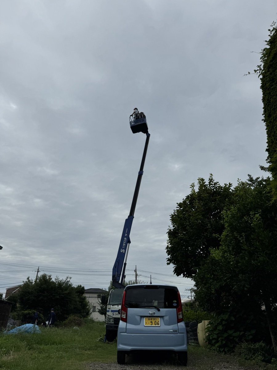 GreenForum8's tweet photo. 先日、中学生の子達が職業体験に来てくれました🌲高所体験や造園機器の使い方など、色々な体験が出来ました★
暑い中、お疲れ様でした☺️ https://t.co/a3cd05pR4X