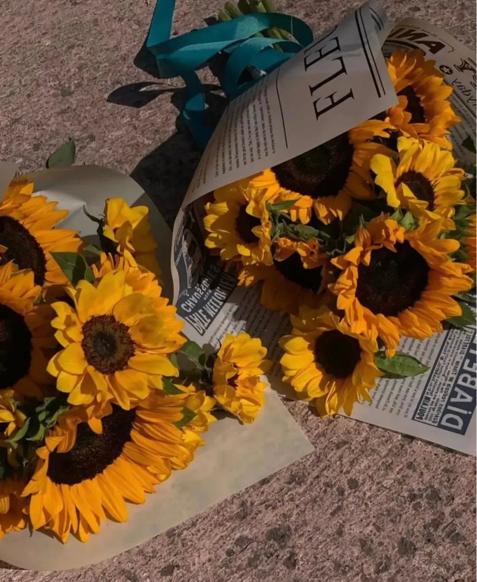 sunflowerchives's tweet photo. Petals of happiness, wrapped in love. https://t.co/BVmOt9Kwa4