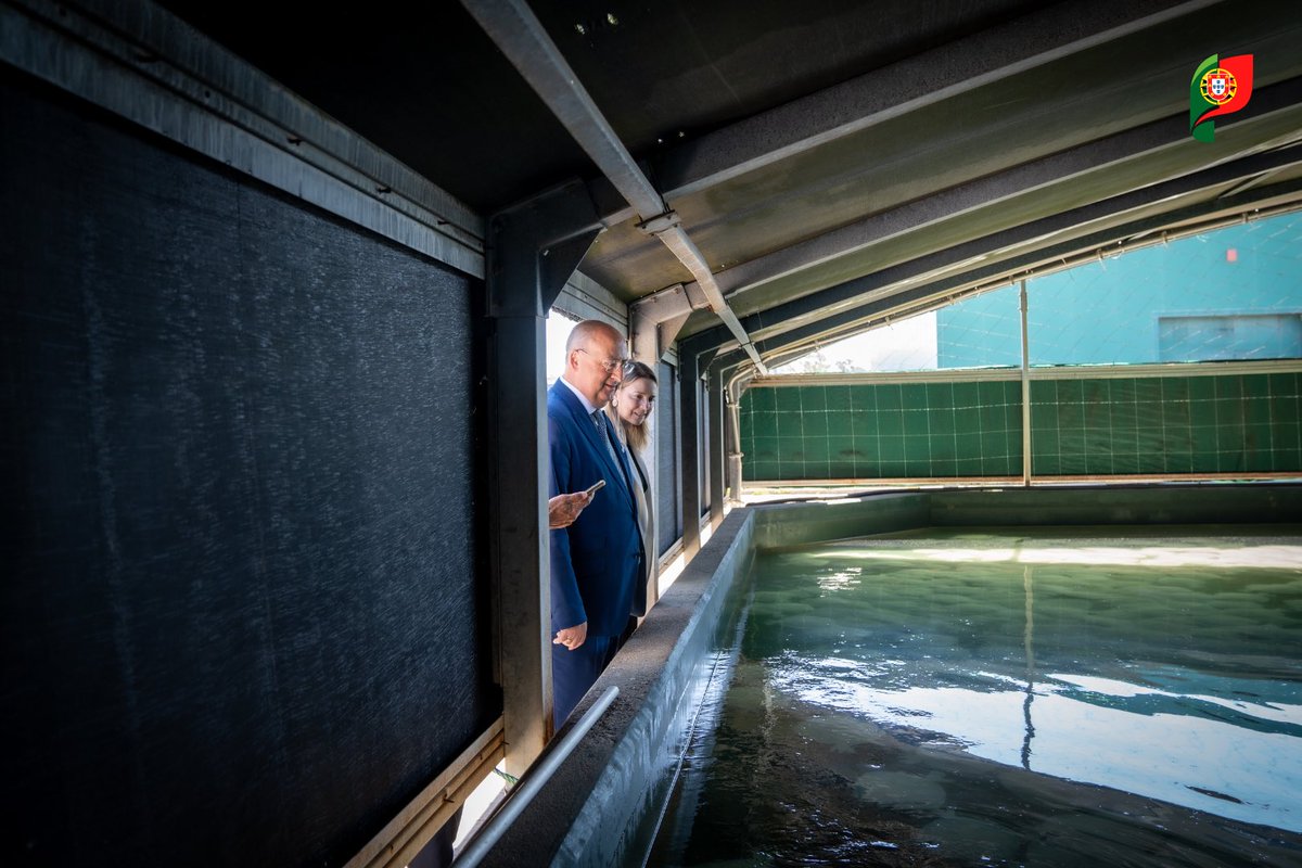JMFernandesEU's tweet photo. š£ļø Sustentabilidade, Inovação e Ambição na Aquacultura Nacional
Tive o prazer de visitar, juntamente com a SecretƔria de Estado das #Pescas, ClƔudia Monteiro de Aguiar, as instalaƧƵes da #FLATLANTIC, em Mira.
Esta empresa não teve medo de arriscar. Com ambição e confiança, jÔ estÔ no pódio mundial neste setor, demonstrando que, em #Portugal, a #inovação, a #investigação e a renovação geracional são apostas bem-sucedidas. Como uma das maiores unidades produtoras de peixe plano (pregado e linguado) da #Europa e a principal empresa de #aquacultura em Portugal, a FLATLANTIC destaca-se pelo contributo significativo para a #sustentabilidade e pela determinação em liderar o mercado global nos próximos 10 anos.
Durante a visita, ficou evidente o forte compromisso da FLATLANTIC com a sustentabilidade, desde a gestão da alimentação dos peixes até à produção de energia para autoconsumo, promovendo ativamente a redução da pegada de carbono e apoiando uma nova geração de pescadores.
A empresa desempenha também um papel crucial na criação de riqueza e emprego, com mais de 190 profissionais dedicados à investigação e inovação, contribuindo significativamente para a #economia local e nacional, bem como para a autonomia estratégica da União Europeia, num setor essencial para reduzir o défice de importação de peixe.
š·: Jorge Oliveira/MinistĆ©rio da Agricultura e Pescas