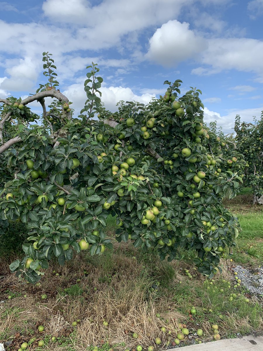 Another great day working for Tourism NI, visiting just some of the brilliant experiences and attractions in and around Armagh. Crisps, history, first editions, cider &amp; homemade Bramley apple pie - it’s all here on our doorstep in Northern Ireland #loveworkingintourism