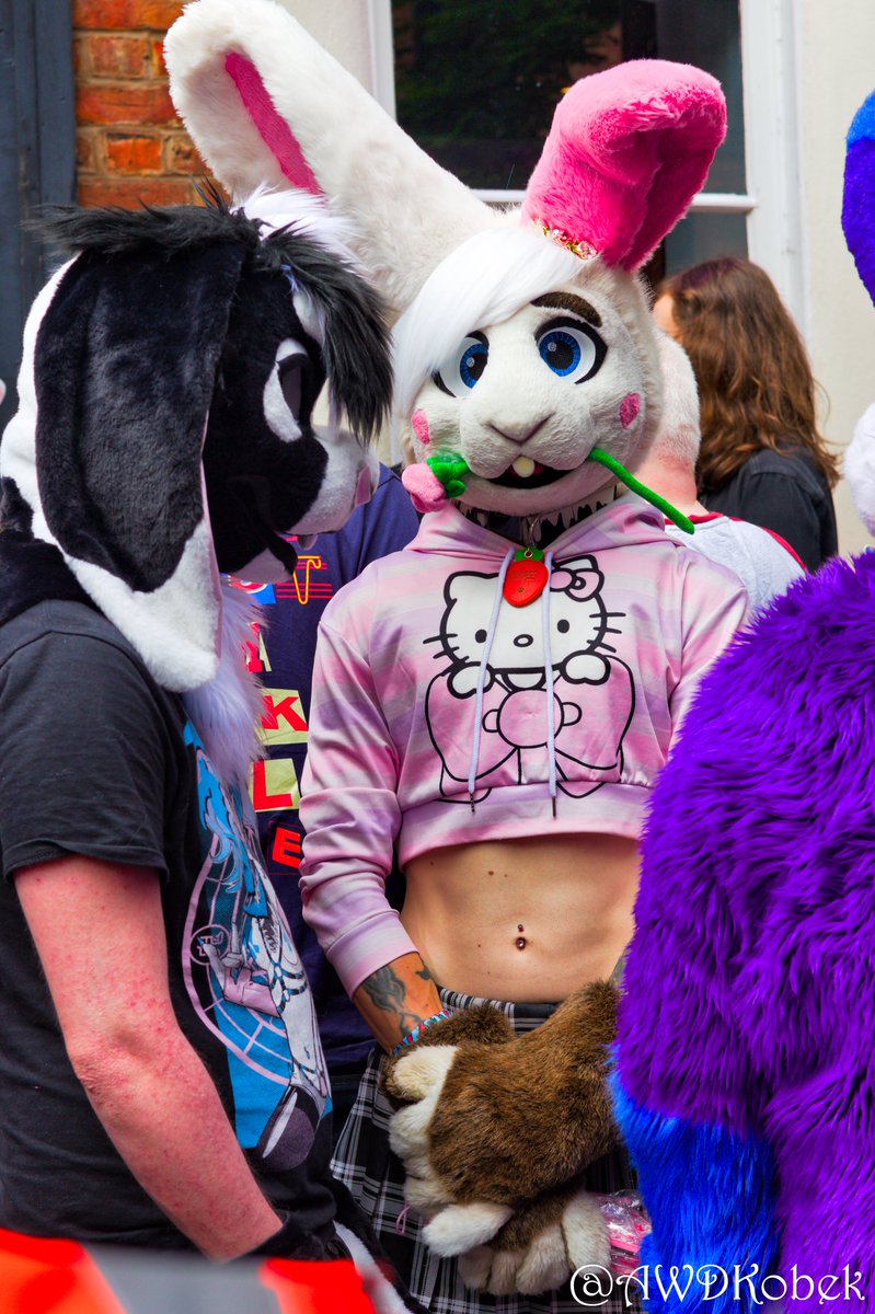 Another batch of floofs from mancfurs 2/2

(If you know them pls tag them)

#fursuitfriday #mancfurs