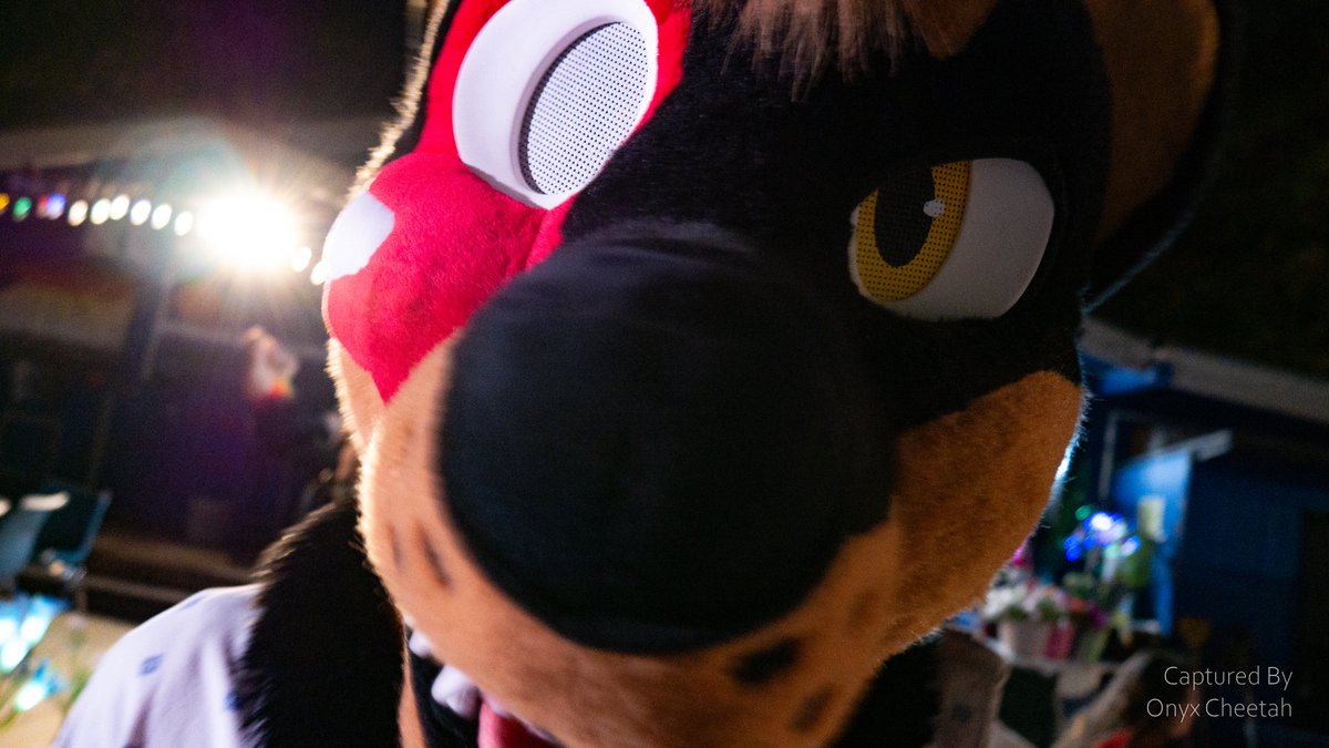 CrinkleCheetah's tweet photo. Sometimes you just gotta get that pic, even while suiting!

Pey-Yote caught me taking a close up at the local furry bar meet in June &amp; I thought it was too much of a fun side by side to not share it

Find more of his pics at Pey-Yote on the Blue place and 
mine at @OnyxCheetah https://t.co/wsBx3CwD3b