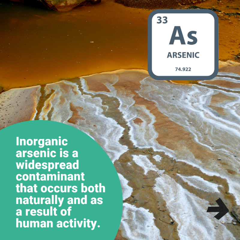 EFSA_EU's tweet photo. Have you missed our latest output on inorganic #arsenic in food? 

We’ve analysed the risks and created an easy-to-understand #PlainLanguageSummary (PLS). 

Check it out and stay informed 👇 

📖 →  https://t.co/9oWzxzjJPB