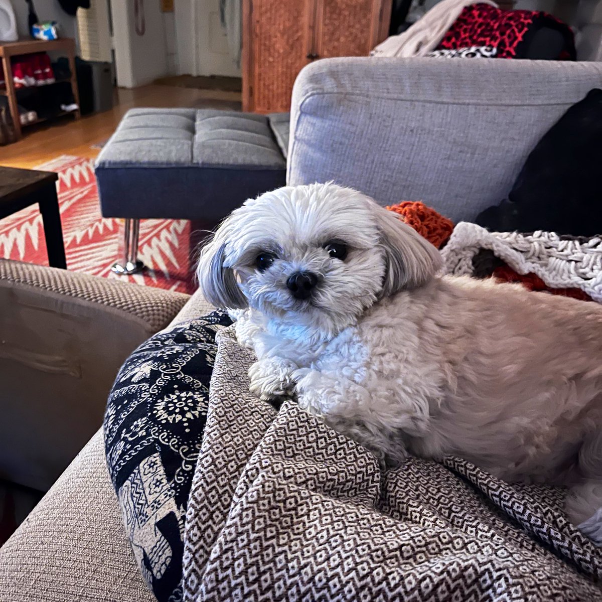 audrey farnsworth tweet media