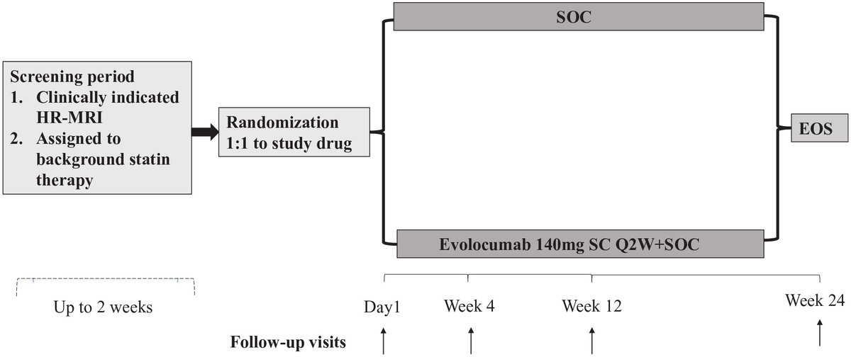 💉PCSK9 Inhibitor with Statin Therapy for Intracranial Artery Stenosis

🧑‍🤝‍🧑Multicenter RCT of 1000 subjects

Evolocumab 140mg every 2 weeks with statin therapy or statin therapy alone for 24 weeks

🧠Primary outcome: change in intracranial plaque burden

journals.sagepub.com/doi/full/10.11…