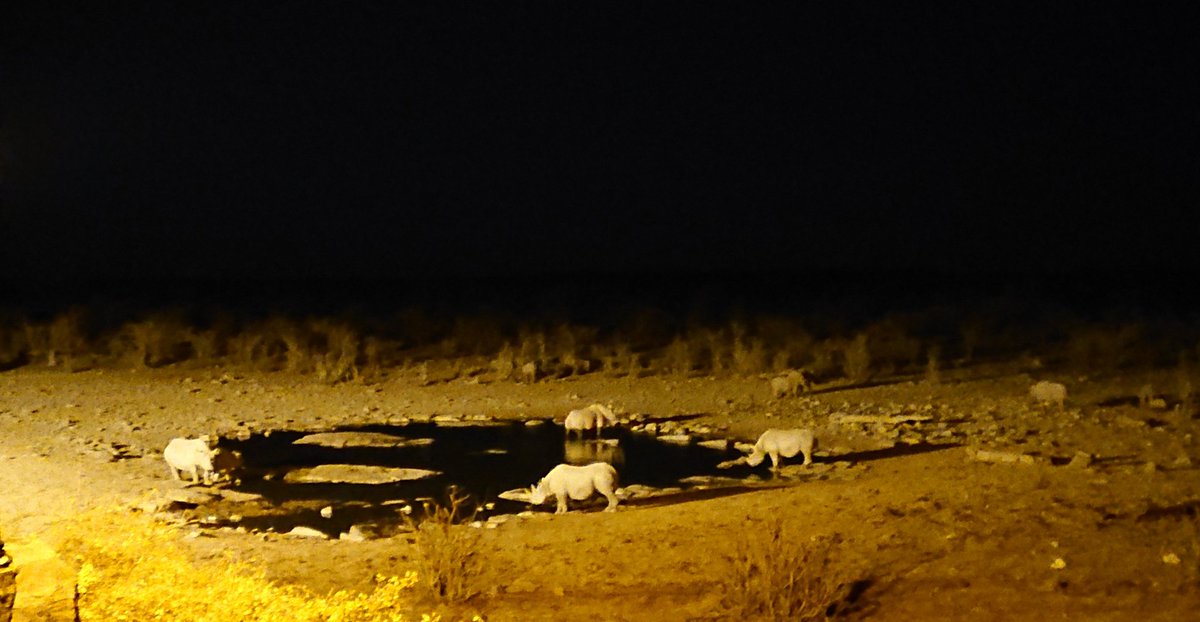 Oliver Burdekin tweet media