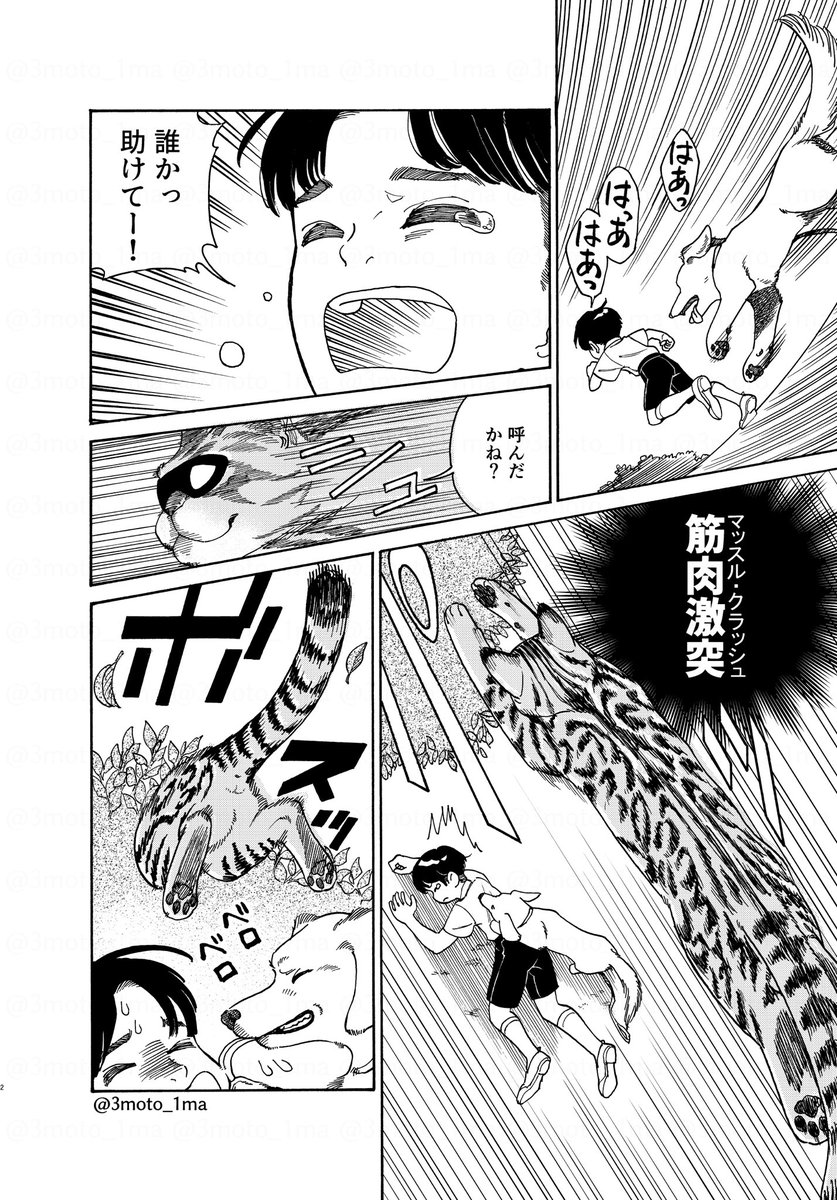 「ねこレンタルサービス」
みんなのヒーロー 担当:マッスル・キャット(1/2)
 #漫画が読めるハッシュタグ 