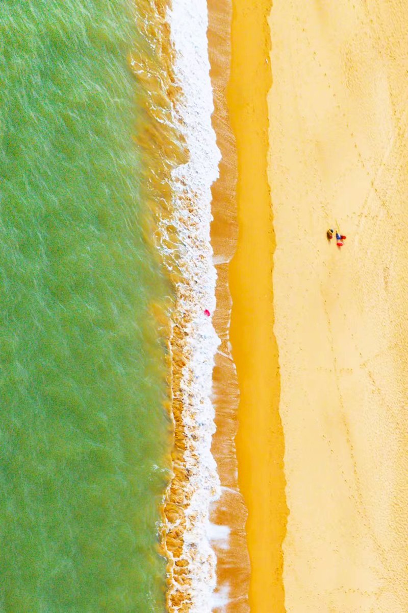 DiscoverYantai's tweet photo. Dive into the splendor of #Yantai's national treasures — #Haiyang, #Penglai and #Fushan Golden Beach tourist resorts🏖️. Immerse yourself in the coastal fairyland where the purest azure sea meets the sky! 🌅 #HappyTourAcrossYantai https://t.co/A3j45Mi0f6