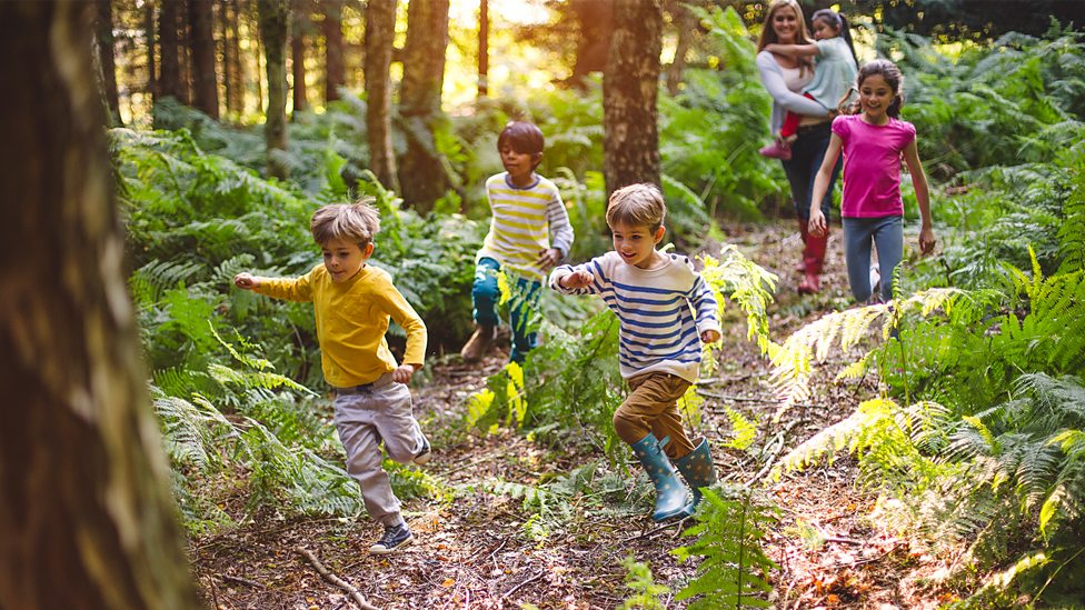 BBCWales's tweet photo. β
Bookmarked!
Here's a great #BBCBitesize list of summer holiday ideas, activities and resources suitable for all ages!
π² https://t.co/uYwsOLLH2uβ
https://t.co/BQnZYNWIeL