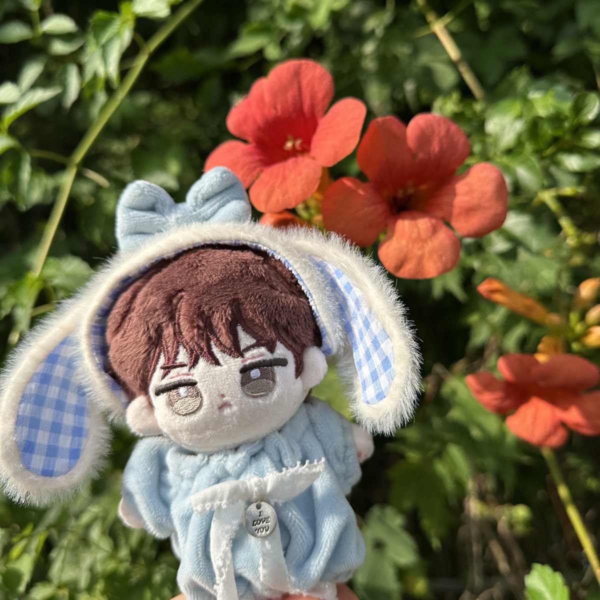 wwri_js's tweet photo. 🌸능소화 현헌

#동글현헌 https://t.co/ehslKqS4ie