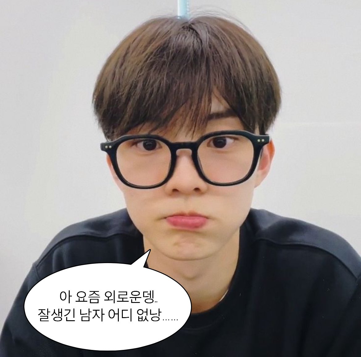 연민 tweet media